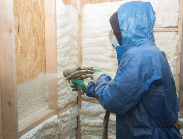 Best Insulation for New Construction  in Socorro, TX